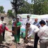 Environment Day 