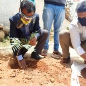 Environment Day 