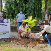 Environment Day 