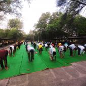 International Yoga Day 2022