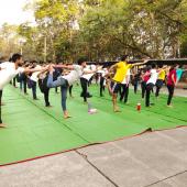 International Yoga Day 2022