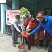 Environment Day 
