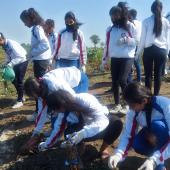 Environment Day-2023