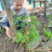 Environment Day 