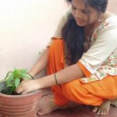 Environment Day 