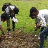 Swachhta Pakhwada