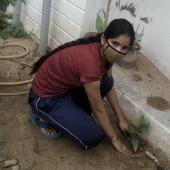 Environment Day 