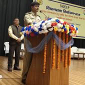 SVEEP Cell Activity