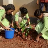 Environment Day-2023