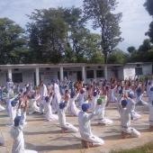 Yoga Day