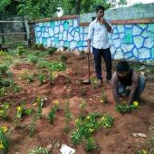Environment Day 