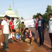 Environment Day 