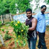 Environment Day 